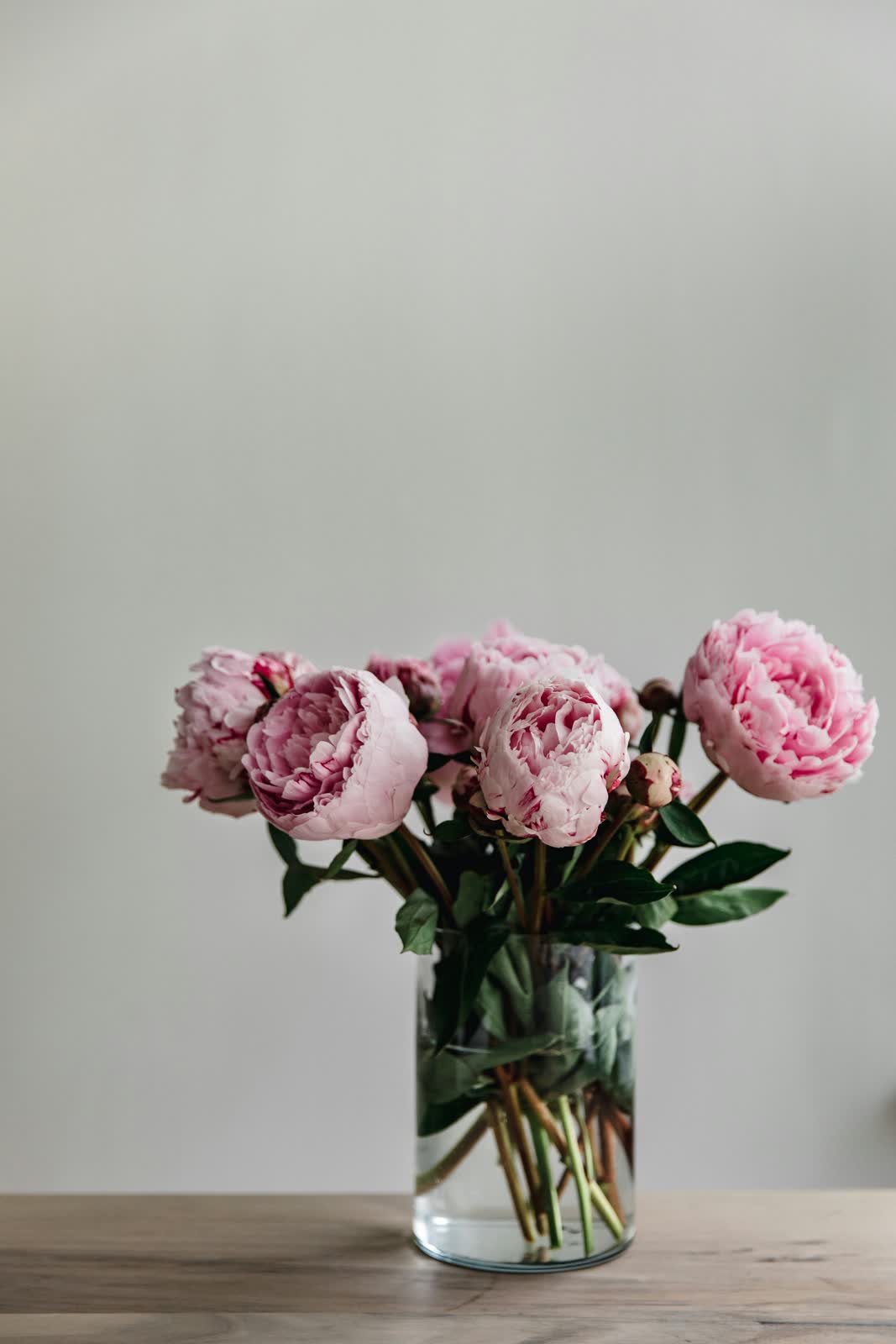 Peonies for sale at NYC Flower House, photographed in the shop.
